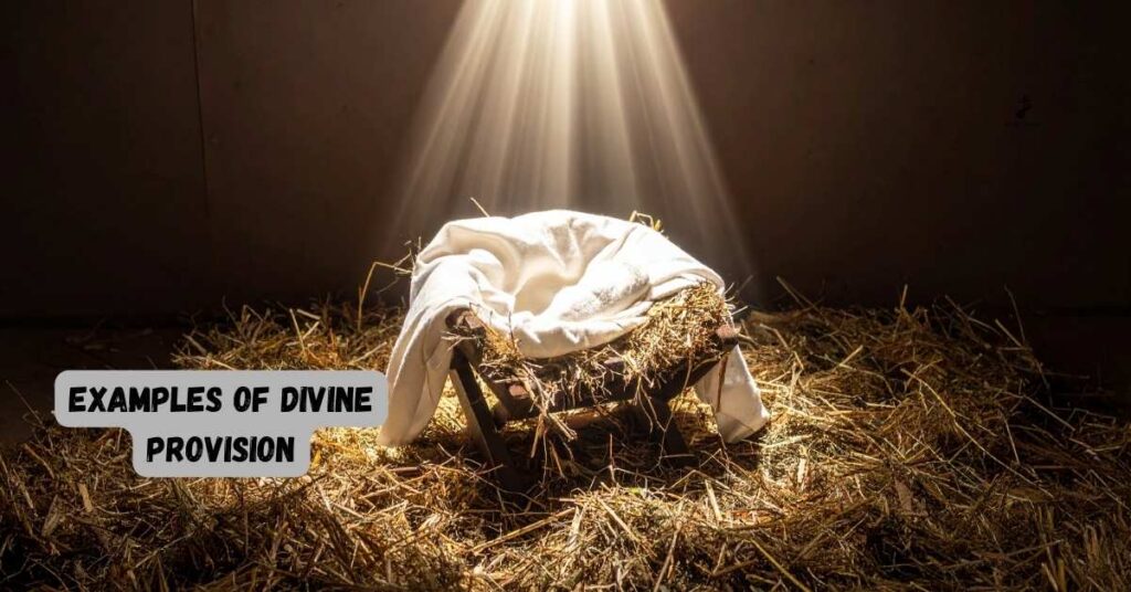 Examples of Divine Provision