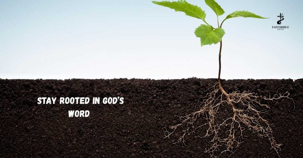 Stay Rooted in God’s Word
