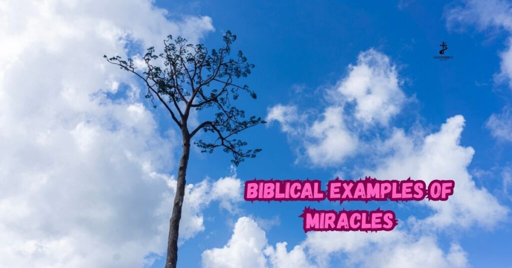 Biblical Examples of Miracles