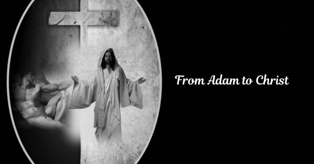 From Adam to Christ