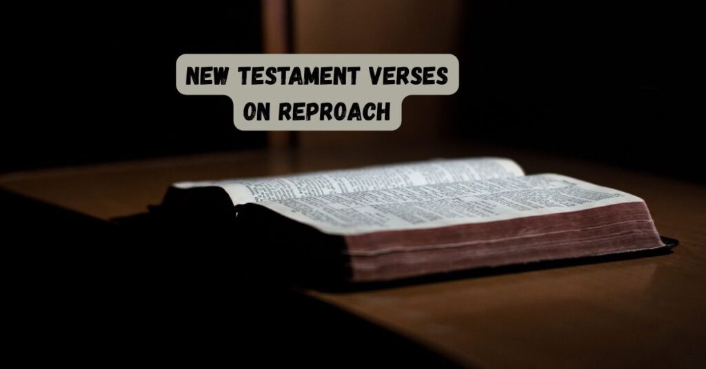 New Testament Verses on Reproach
