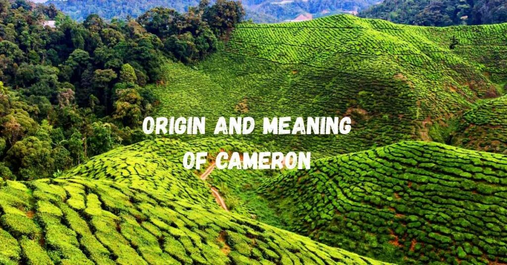 Origin and Meaning of Cameron