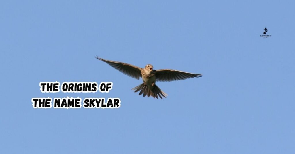 The Origins of the Name Skylar