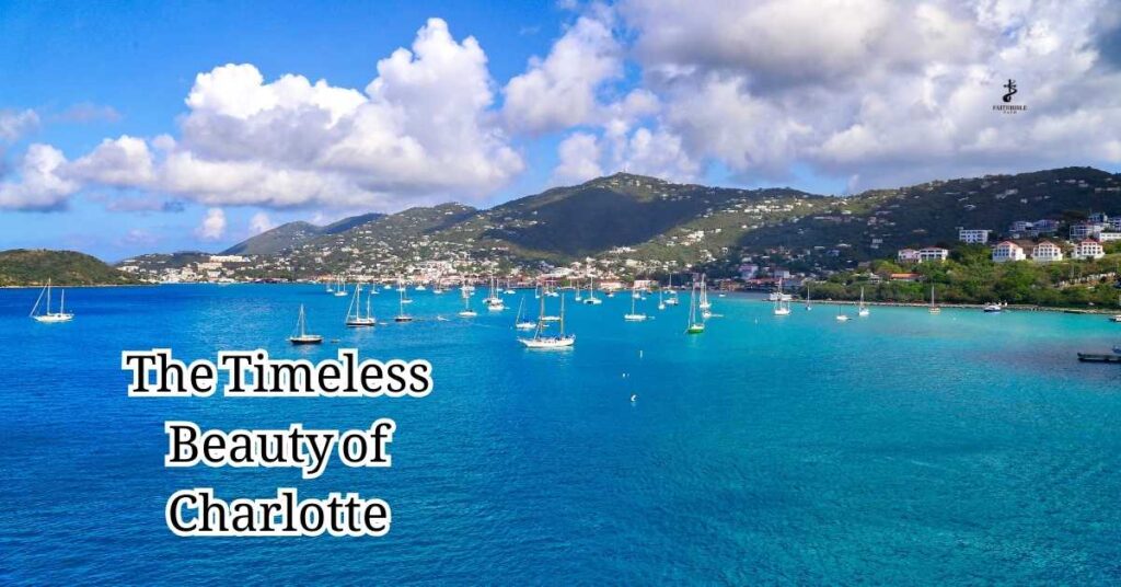 The Timeless Beauty of Charlotte