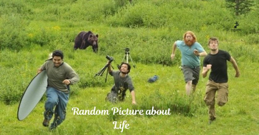 Random Picture about Life