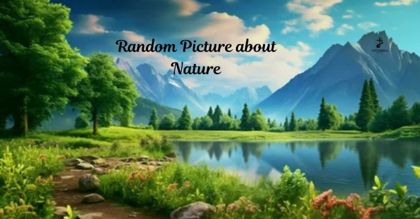 Random Picture about Nature