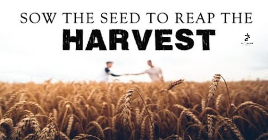 Bible Verses About Harvest and Soul Winning