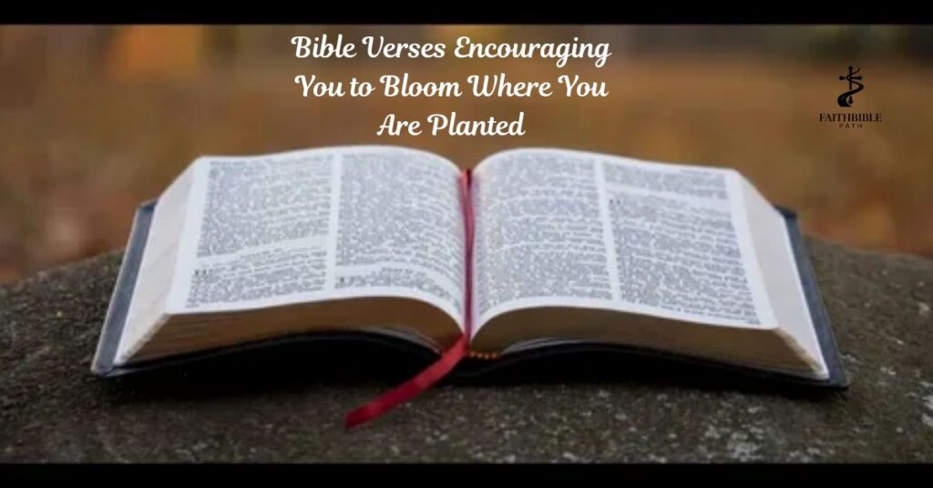 Bible Verses Encouraging You to Bloom Where You Are Planted