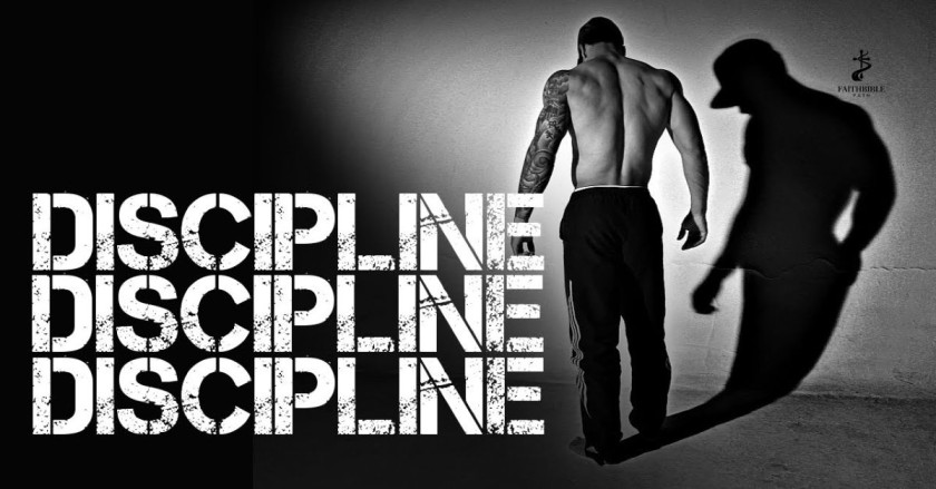 Discipline & Training