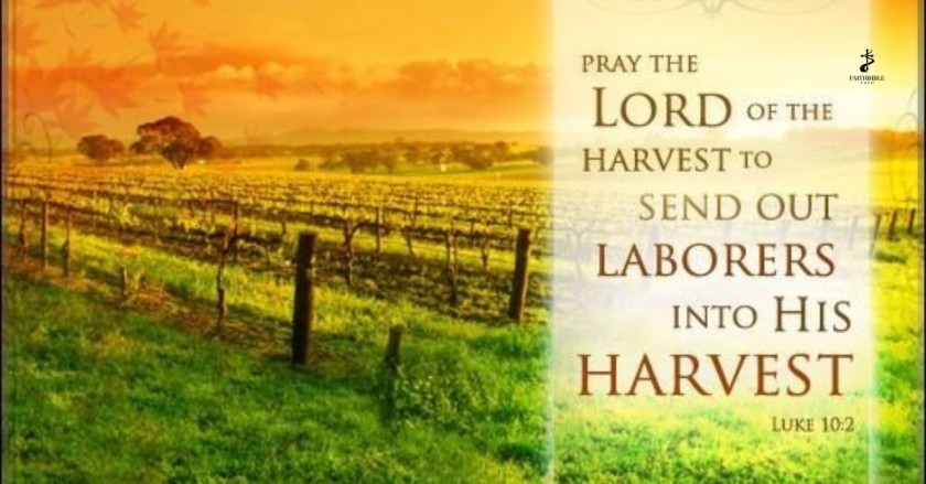 Pray for the Lord of the Harvest