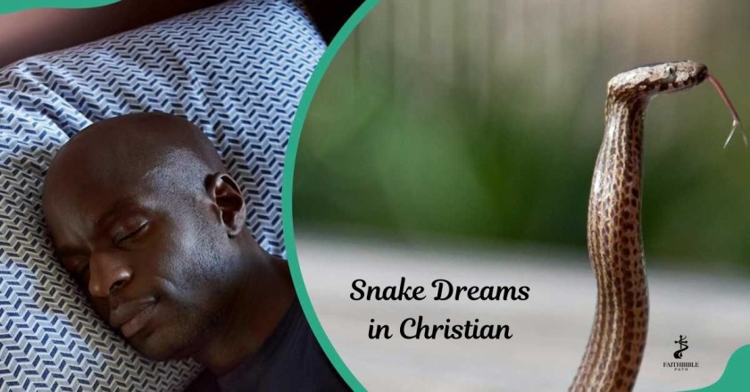 Snake Dreams in Christian