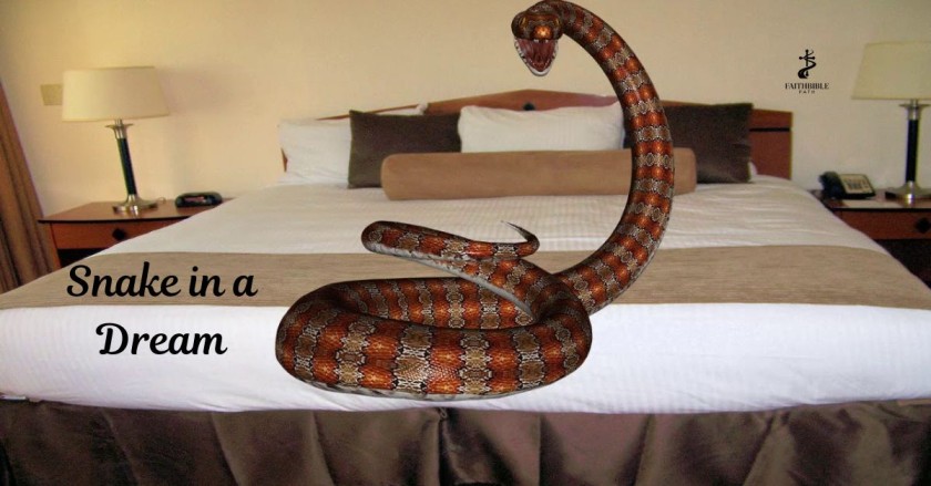 Snake in a Dream